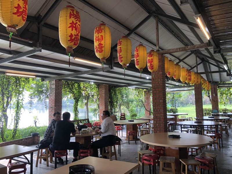 嚐養生薑母鴨還能觀楊柳、賞埤塘水色。(蔡依珍攝)