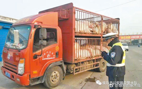 因異地調運引發的非洲豬瘟約占全部疫情17%。圖為警方設點固定檢查生豬運送。(取自微博@隱形的啄木鳥)