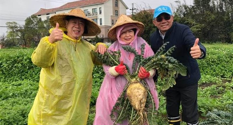 張仁芳(左)與妻子彭秀雲(中)種植蘿蔔,提供社區關懷據點共餐。(呂筱蟬攝)