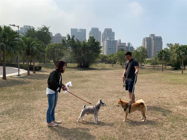 高美館園區常有許多民眾以狗會友,互相分享飼養樂趣。(曹明正攝)