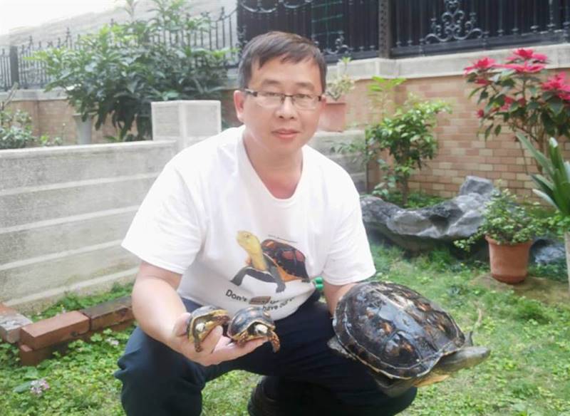 蘇信豪為龜癡迷,庭院養了一隻斑龜已經20年了,去年又再加養兩隻紅腿象龜。(吳敏菁攝)
