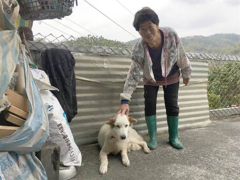 「熊熊」最近顯得老態龍鍾,余繡美不捨地說:會把牠照顧好。(沈揮勝攝)