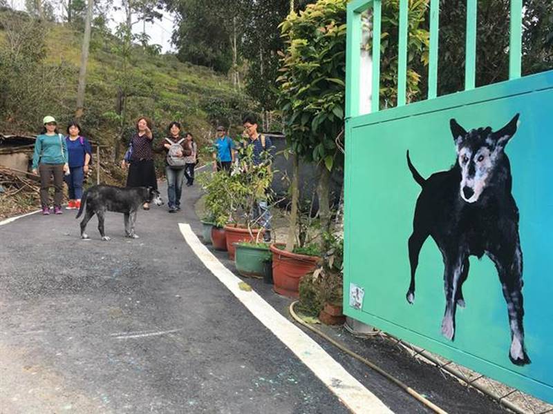 「熊熊」與「庫洛」喜歡迎賓,飼主還特別在門前彩繪畫像,強化「侏儸紀」守護神意象。(沈揮勝攝)